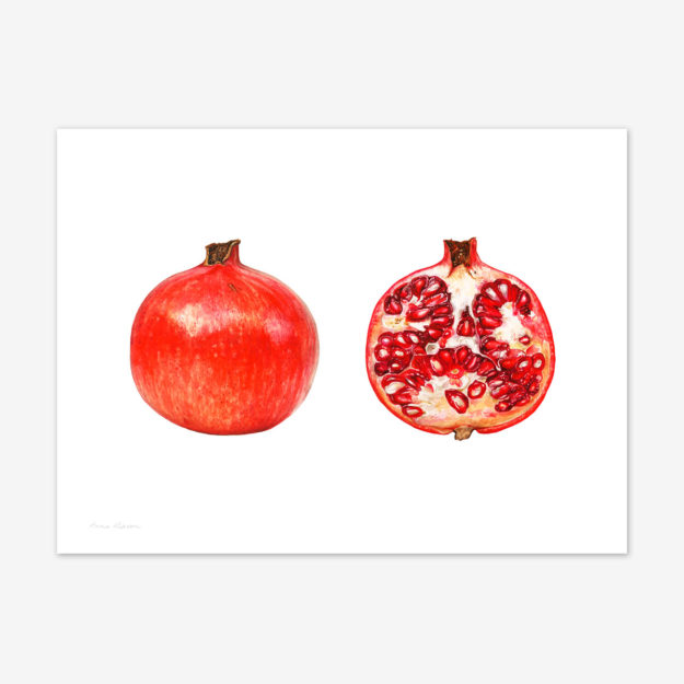 Dissected Pomegranate