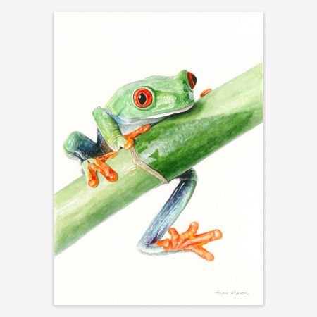 Tree Frog Painting