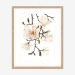 magnolia_oakframe