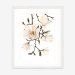 magnolia_whiteframe