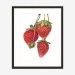 strawberrieseverest_blackframe