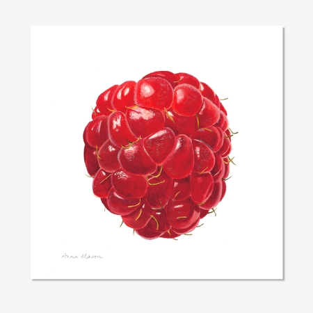 raspberryunframed