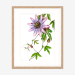 passionflower_oakframe